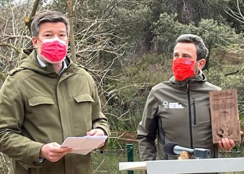 Alexandre de Palmas Carrefour