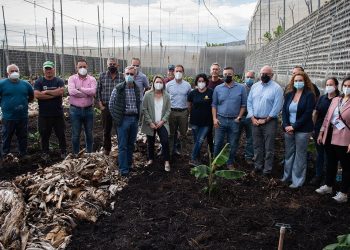Fincas Europlatano-Carlos Aciego