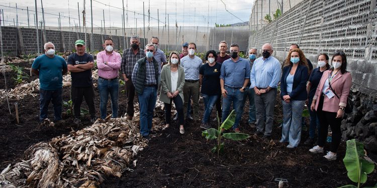 Fincas Europlatano-Carlos Aciego