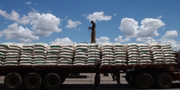 alimentos