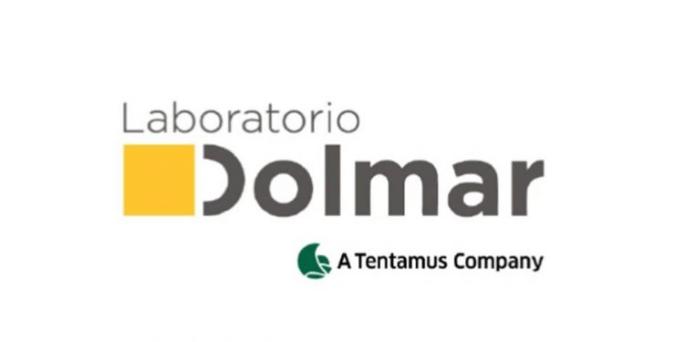 Grupo Dolmar