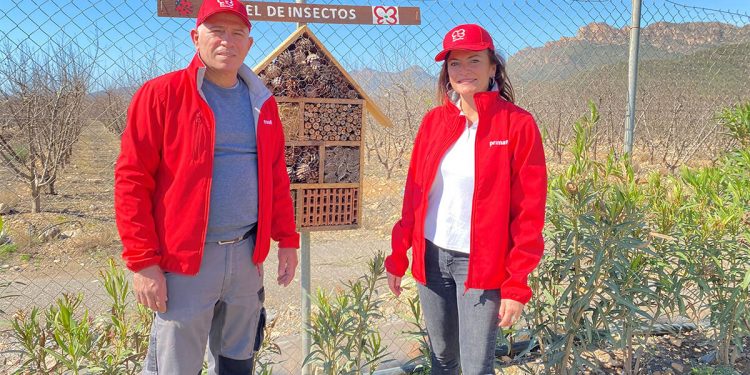 Primaflor-hoteles insectos