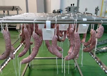 alimentosfuncionales-fuet