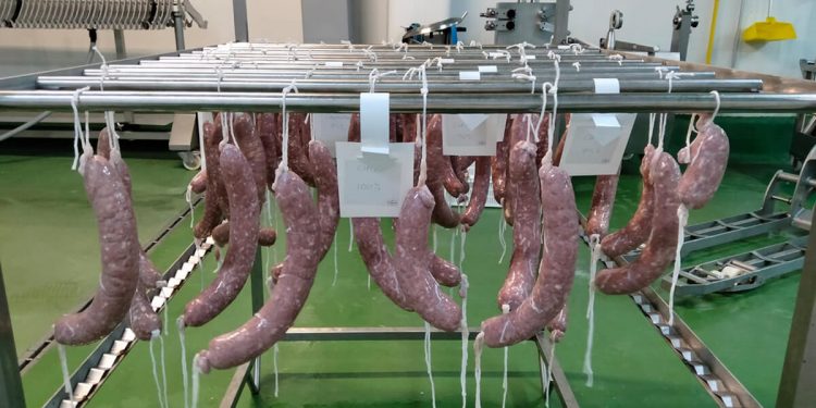 alimentosfuncionales-fuet