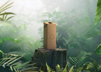 Envase Carton Tetra Pak