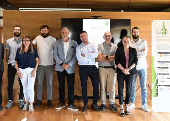 socios empresariales-Cavawinner