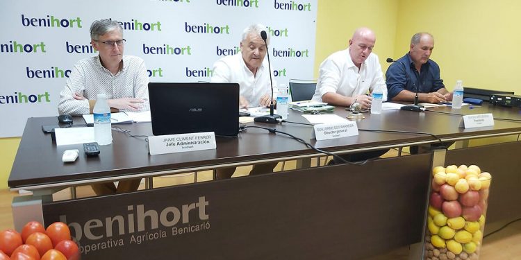 Benihort-asamblea
