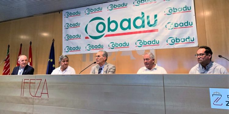 Cobadu-Asamblea