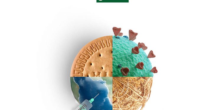 Galletas Gullon
