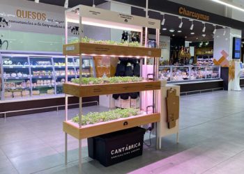 Masymas-cultivo hidroponico