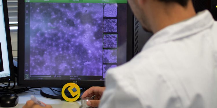Aimplas estudia la valorización de residuos plásticos mediante insectos