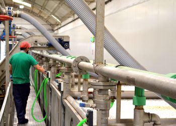 Autor Foods: la clave para crecer un 30% cada año y no morir en el intento