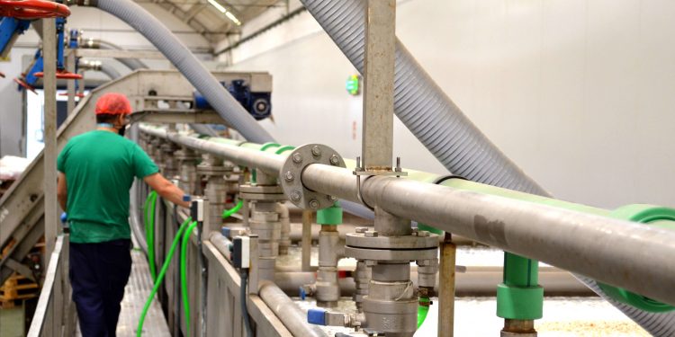 Autor Foods: la clave para crecer un 30% cada año y no morir en el intento