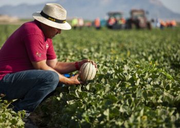 Carrefour-melon Murcia