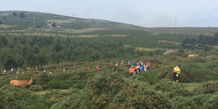 La andaina solidaria de Congalsa estrena formato híbrido