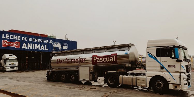 Pascual