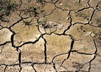 sequia-agricultura