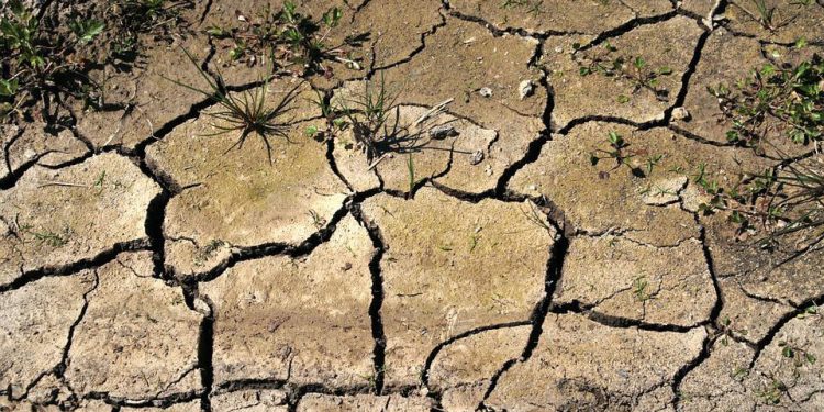 sequia-agricultura