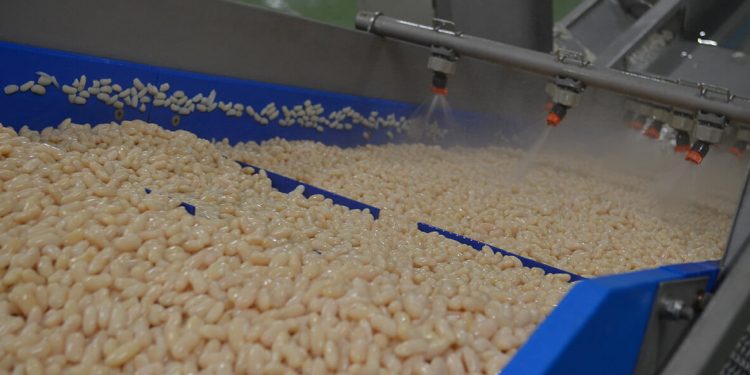 Alubias blancas AutorFoods