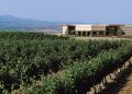Bodegas Campo Viejo