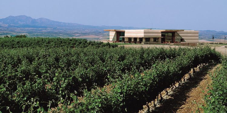 Bodegas Campo Viejo