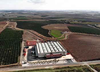 Campo Rico