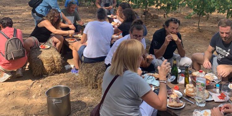 Canals&Munné organiza la gran fiesta de la vendimia