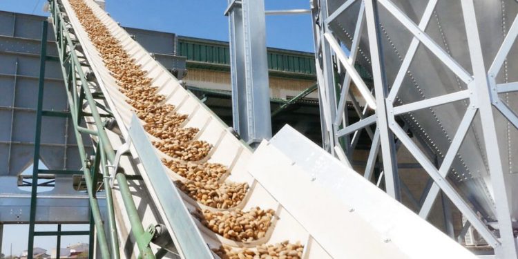 Dcoop pone en marcha la nueva planta de Córdoba