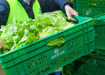 Gadisa-verdura-producto local