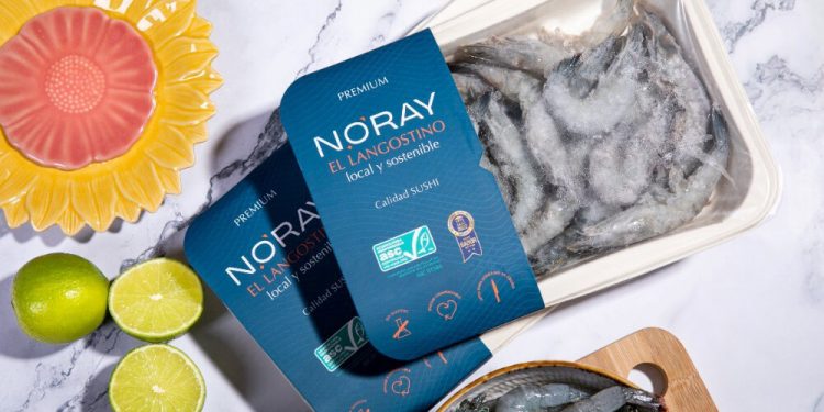 Noray