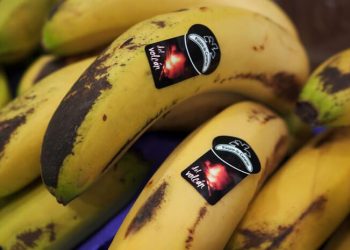 Plátano de Canarias