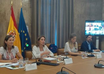 Reunion Plan Contingencia