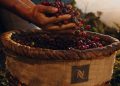 Nespresso y la sostenibilidad