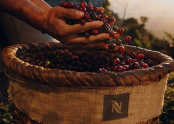 Nespresso y la sostenibilidad
