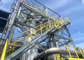 Beneo-Planta de Pemuco