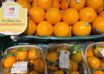 Consum-mandarinas y naranjas valencianas