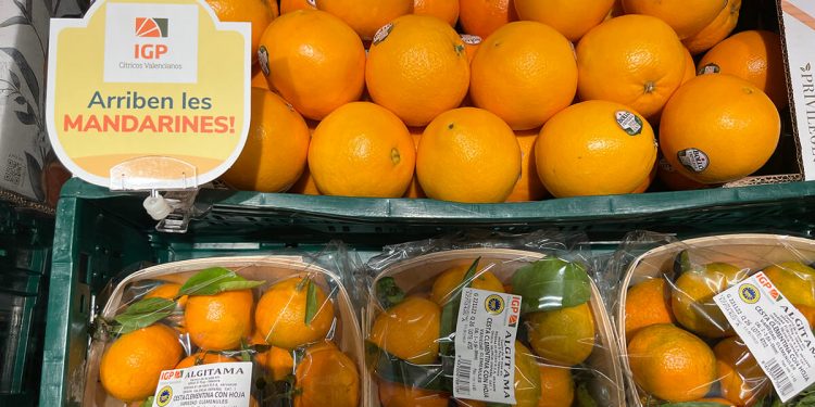 Consum-mandarinas y naranjas valencianas