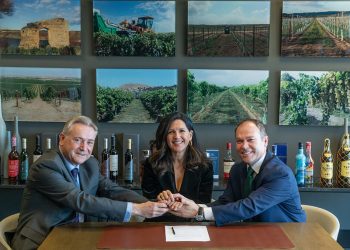 Grupo Emperador Spain-Varma