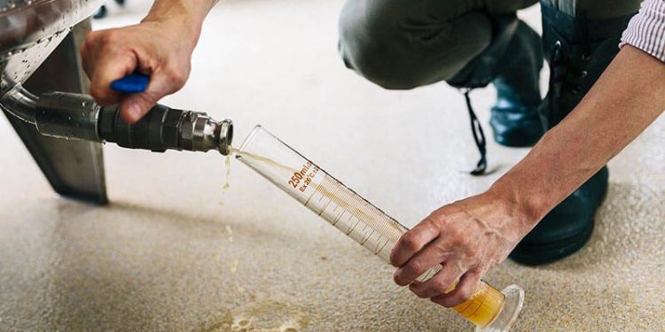 Cerveza elaboracion
