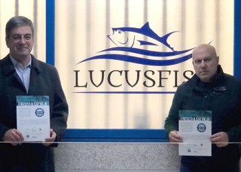 Fresco Y Salvaje LucusFish