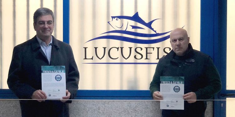 Fresco Y Salvaje LucusFish