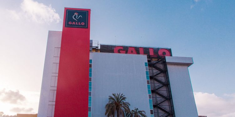 Gallo-fabrica caldos