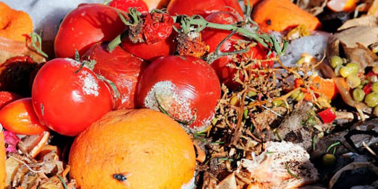 desperdicio alimentos