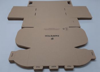 Caja electronica segura-premio packaging