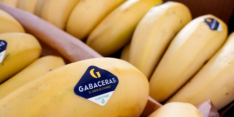 Gabaceras-nuevo etiquetado