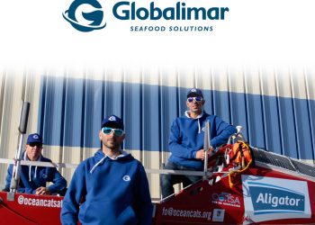 Ocean Cats-Globalimar