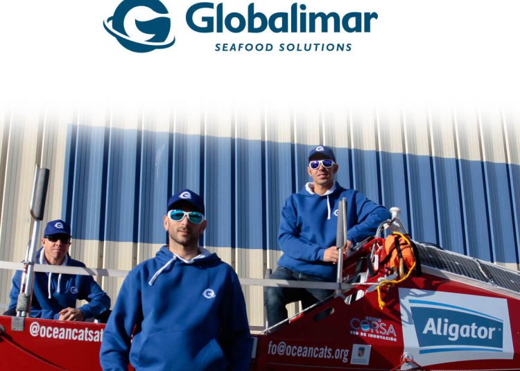 Ocean Cats-Globalimar