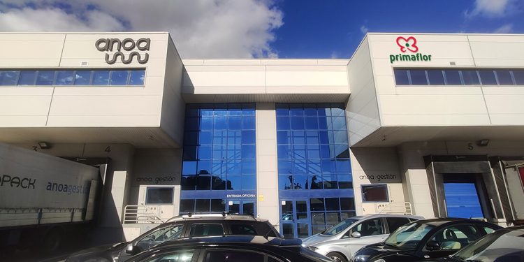 Primaflor-oficinas Madrid