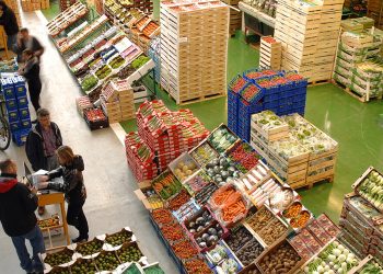 Frutas y Hortalizas-Mercabarna