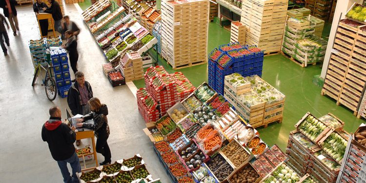 Frutas y Hortalizas-Mercabarna